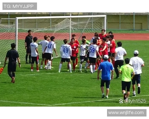 中国足球明星现状分析及未来发展潜力探讨