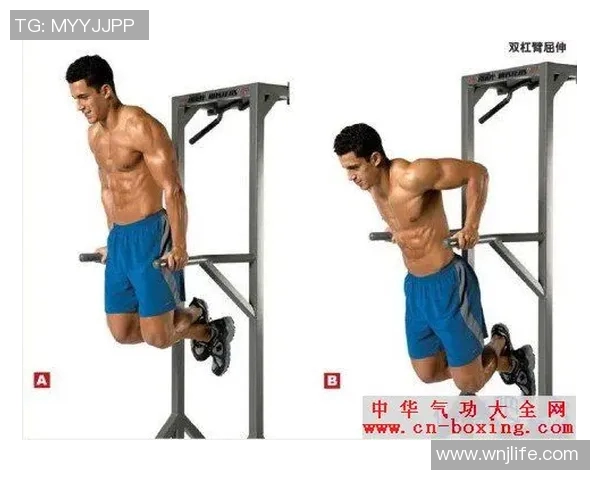 在家使用哑铃有效锻炼胸肌的全方位指南与技巧分享